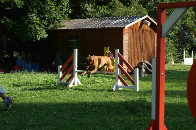agility 2011-08